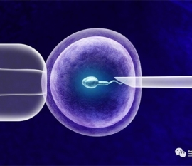 最新出炉苏州供卵助孕机构大全，附2022供卵试管生男孩费用解剖