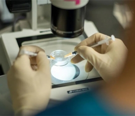 bb性别鉴定有哪些民间方法