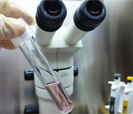 八年心血！喜得贝贝助孕服务火速上线格鲁吉亚和吉尔吉斯坦！